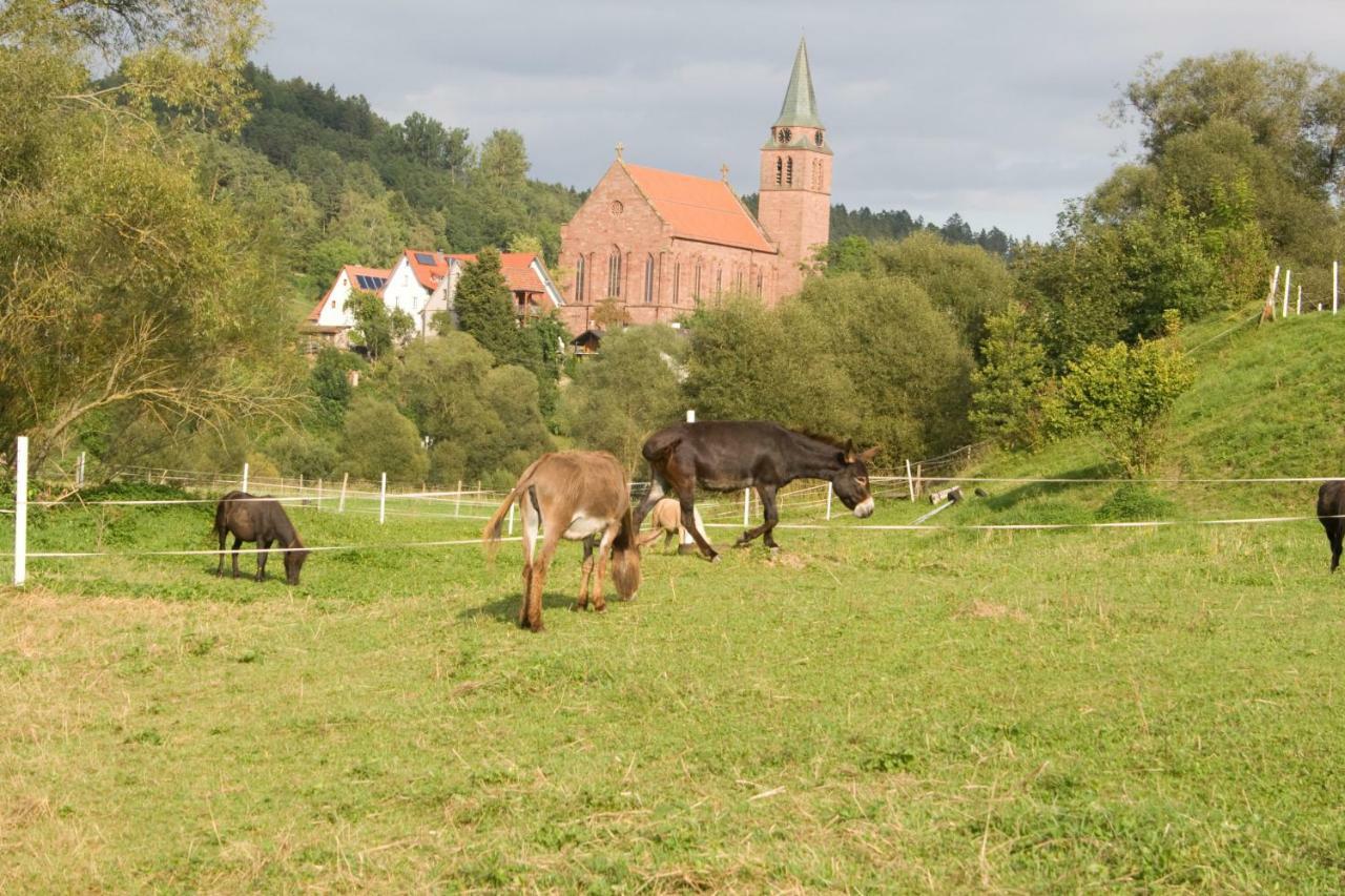 Ferienwohnung Spreter Zimmern ob Rottweil Buitenkant foto